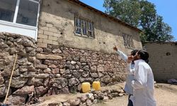 Yüksekova'da yılanlar bir evi mesken tuttu