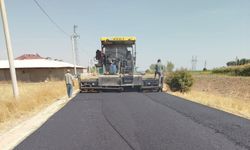 Bitlis'te köy yollarında sıcak asfalt çalışmaları başladı