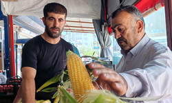 Bitlis'te süt mısır tezgahlarda yerini almaya başladı