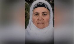 Tatvan'da yük treninin çarptığı kadın hayatını kaybetti