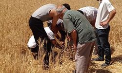 Tatvan'da otomobil yoldan çıktı: 1 yaralı