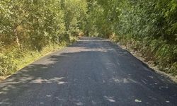 Bitlis'te Köy Yollarında BSK Seferberliği Sürüyor