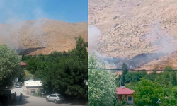 Bitlis'te çıkan yangında arı kovanları zarar gördü