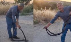 Evlere giren yılanları eliyle yakalıyor