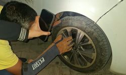 Tatvan’da 6. kattan düşen kedi aracın motoruna sıkıştı