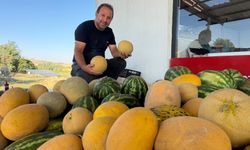 Adilcevaz’ın meşhur kavunu ilgi görüyor