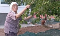 85 yaşındaki çiftin pekmez mesaisi takdir topluyor