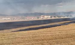 Elazığ'da anız yangını ekipler tarafından söndürüldü