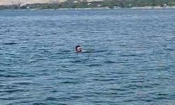 Elazığ'dan Malatya'ya yüzerek geçti