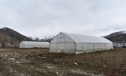 Erzincan'da sera örtüsü desteği için başvuru süresi uzatıldı