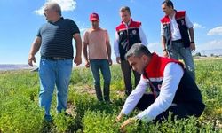 Erzurum'da tarımsal destekler üretime katkı sağlıyor