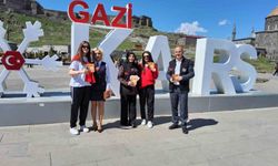 Kars'ta kadına yönelik şiddete karşı bilgilendirme seferberliği
