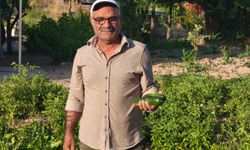 Kız kardeşinin organıyla yaşama döndü, toprağa umut ekiyor