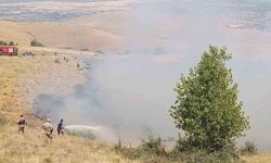 Muş'ta çıkan örtü yangını kontrol altına alındı
