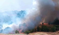 Pütürge'de orman ve örtü yangınına havadan müdahale yapıldı