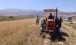 Sıcak hava çiftçiyi durdurmadı, hasat başladı