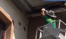Yüksekova'da çatıda mahsur kalan güvercin kurtarıldı