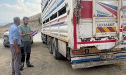 Yüksekova'da hayvan sağlığı için yol kontrolleri devam ediyor