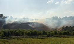 Ahlat’ta Çarho etkinlik alanı yanında çıkan yangın söndürüldü