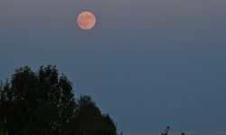 Ahlat’ta dolunayın yükselişi fotoğraf karelerine yansıdı