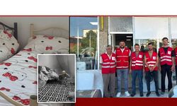 Genç Kızılay Adilcevaz'dan ihtiyaç sahibi çocuklara anlamlı destek