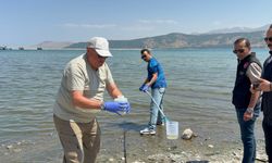Tatvan'da Van Gölü'ndeki kirlilik ihbarları üzerine su numuneleri alındı
