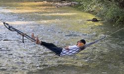 Tatvan'da dere üzerinde hamak keyfi