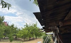 Ahlat’ta Ağustos ortasında yağmur sürprizi