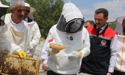 Vali Karakaya, Bitlis’in bal hasadında üreticilerle bir araya geldi
