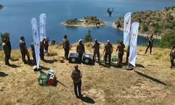 Nemrut Kalderası’nda 5 yırtıcı kuş yeniden doğaya bırakıldı