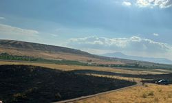 Ahlat-Tatvan yolunda alevler yükseldi! 300 dönümlük alan zarar gördü