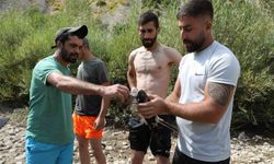 Ağaca çarpıp suya düşen kızıl şahin kurtarıldı