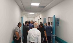 Ağbaba'nın belinde kırık tespit edildi