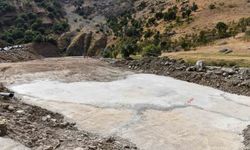 Bahçesaray'a yılda 100 milyon yavru üretecek tesis