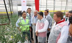 Bakan Yumaklı, Erzincan'daki jeotermal sera alanını inceledi