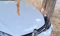 Elazığ'da trafik kazası: 2 yaralı