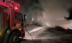 Van'da ot yangınını itfaiye söndürdü