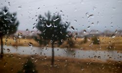 Ahlat’ta yağmur yağışı etkili oldu