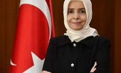 Ayşe Hilal Sayan Koytak görevi ne, hangi ülkede büyükelçi? İşte Finlandiya’daki yeni görevi