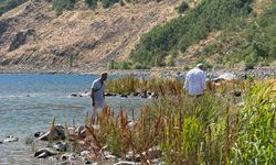 Nemrut Kalderası hafta sonu ziyaretçi akınına uğradı