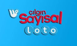 9 Eylül Çılgın Sayısal Loto çekiliş sonucu: Kazandıran 6 numara hangileri, büyük ikramiye devretti mi?