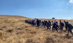 Tatvanlılar doğanın tadını 10 kilometrelik parkurda çıkardı