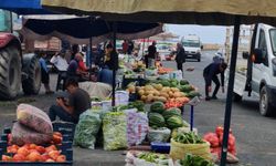 Ahlat-Tatvan yolunda tarladan sofraya taze sebze satışı
