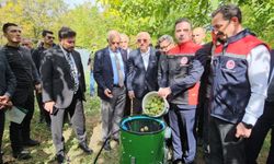Adilcevaz cevizinde hasat sezonu başladı