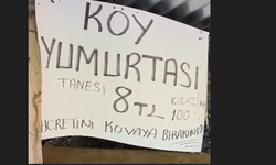 Tezgahta satıcı yok ama alışveriş var: Ödeme kovaya bırakılıyor