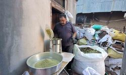120 bitkiden oluşan zetrin baharatı yeniden hayat buluyor