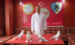40 güvercini için ev kiraladı: Her ay 10 bin TL ödüyor