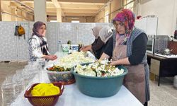 Ağrı’da ata tohumlarıyla yetişen lahanalar kışa hazırlanıyor
