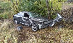 Bingöl'de meydana gelen trafik kazasında 2 kişi yaralandı