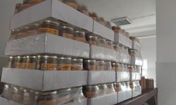 Coğrafi işaretli Ardahan çiçek balında dolum heyecanı